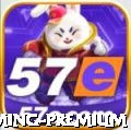 70x - Gaming Premium